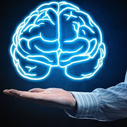 Descubra 29 sinais surpreendentes de que seu QI é acima da média. Da bagunça ao senso de humor, veja se você tem traços de uma mente genial!